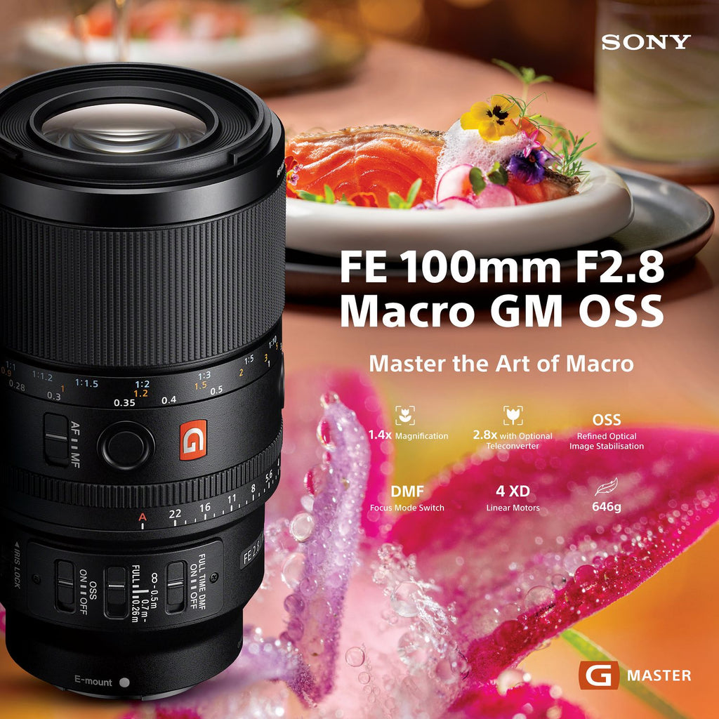 Sony FE 100mm f/2.8 Macro GM Lens