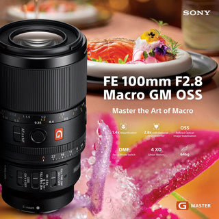 Sony FE 100mm f/2.8 Macro GM Lens
