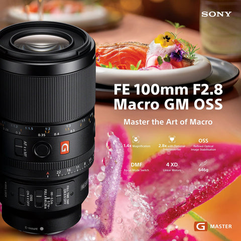 Sony FE 100mm f/2.8 Macro GM Lens